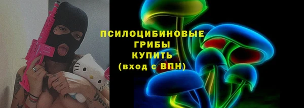 соль ск Белокуриха