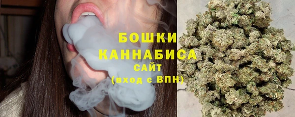 соль ск Белокуриха